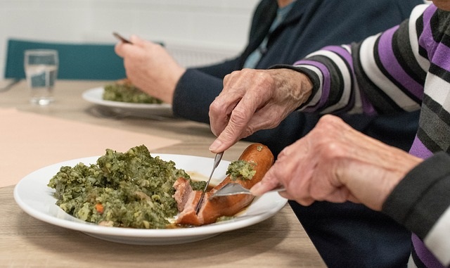 se alimentar bem na terceira idade