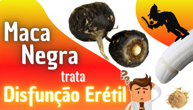 maca negra para disfunção erétil